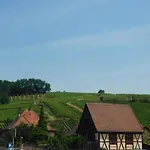 Gewurztraminer - Au Pied Du Vignoble - Renove Recemment - Parking Gratuit דירה ריקוויר