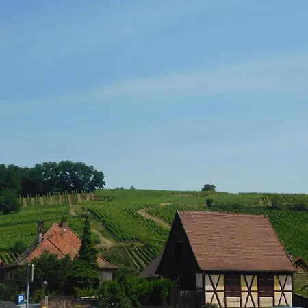 Gewurztraminer - Au Pied Du Vignoble - Renove Recemment - Parking Gratuit Apartment Riquewihr