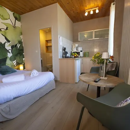 Gewurztraminer - Au Pied Du Vignoble - Renove Recemment - Parking Gratuit Apartmán Riquewihr