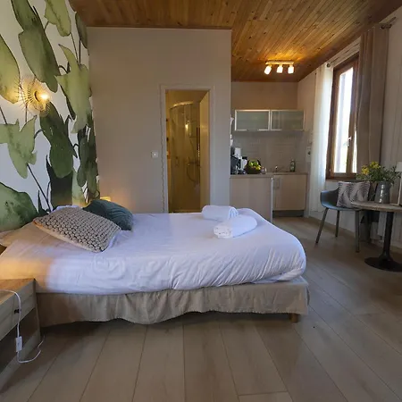 Gewurztraminer - Au Pied Du Vignoble - Renove Recemment - Parking Gratuit Apartmán *