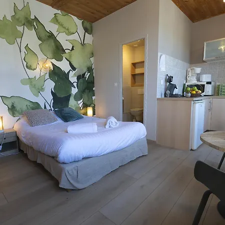 Gewurztraminer - Au Pied Du Vignoble - Renove Recemment - Parking Gratuit Apartment Riquewihr
