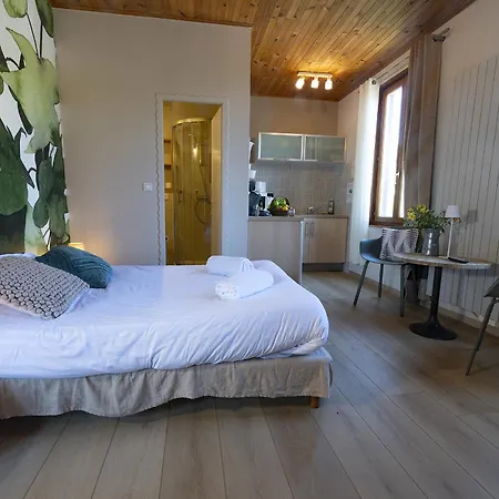 Apartment Gewurztraminer - Au Pied Du Vignoble - Renove Recemment - Parking Gratuit Riquewihr