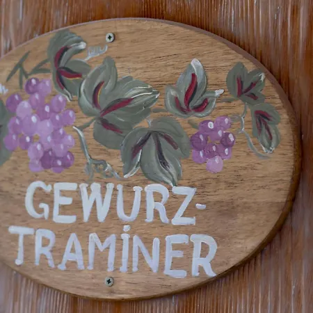 Gewurztraminer - Au Pied Du Vignoble - Renove Recemment - Parking Gratuit *