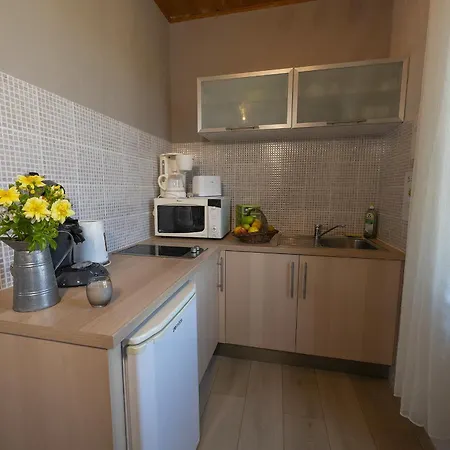 Gewurztraminer - Au Pied Du Vignoble - Renove Recemment - Parking Gratuit Riquewihr