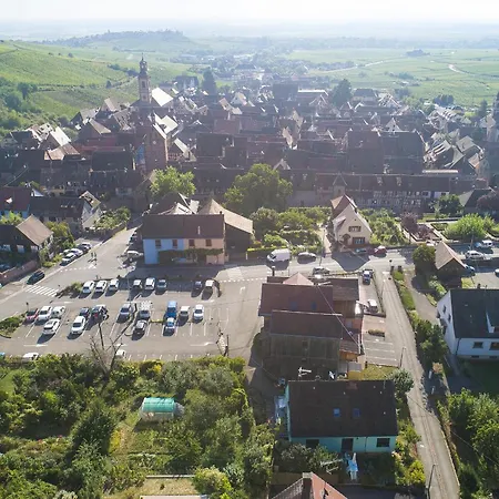 Gewurztraminer - Au Pied Du Vignoble - Renove Recemment - Parking Gratuit