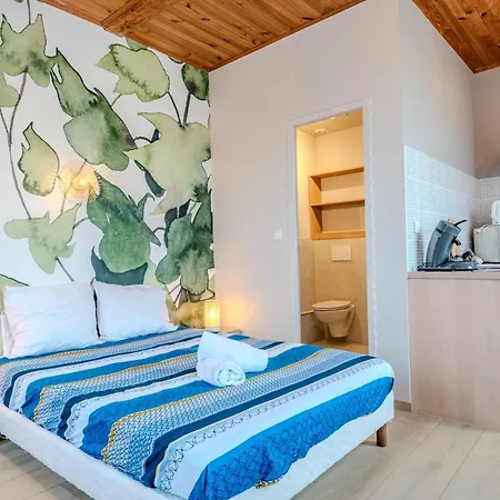 Apartmán Gewurztraminer - Au Pied Du Vignoble - Renove Recemment - Parking Gratuit *