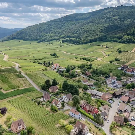 Apartamento Gewurztraminer - Au Pied Du Vignoble - Rénové Récemment - Parking Gratuit Riquewihr