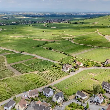 Gewurztraminer - Au Pied Du Vignoble - Renove Recemment - Parking Gratuit Apartmán *