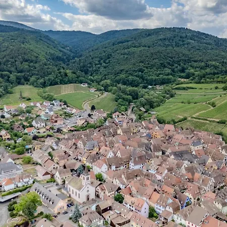 Gewurztraminer - Au Pied Du Vignoble - Renove Recemment - Parking Gratuit *