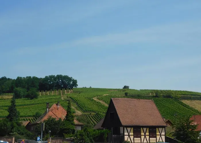 Gewurztraminer - Au Pied Du Vignoble - Renove Recemment - Parking Gratuit Appartement Riquewihr