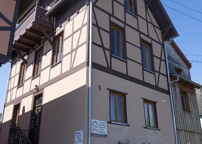 Gewurztraminer - Au Pied Du Vignoble - Renove Recemment - Parking Gratuit Appartement