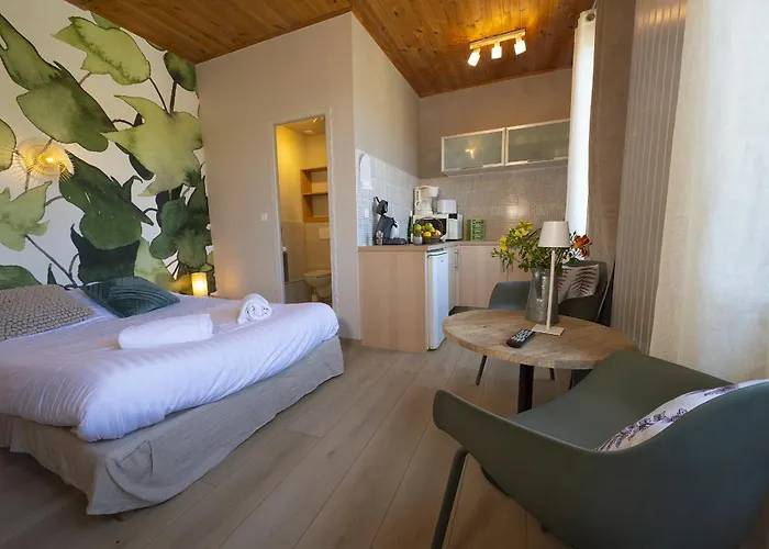 Gewurztraminer - Au Pied Du Vignoble - Renove Recemment - Parking Gratuit Appartement Riquewihr