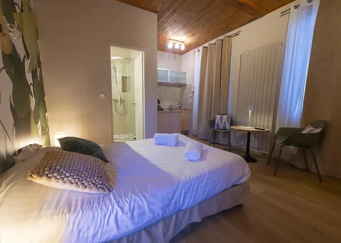 Gewurztraminer - Au Pied Du Vignoble - Renove Recemment - Parking Gratuit *