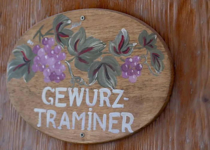 Gewurztraminer - Au Pied Du Vignoble - Renove Recemment - Parking Gratuit *