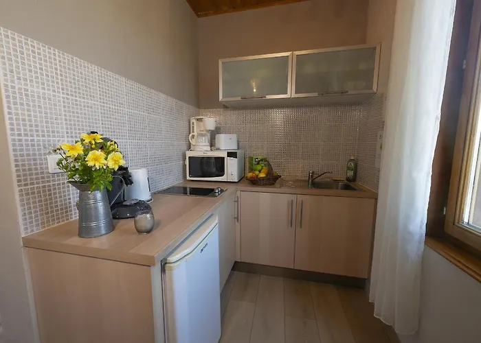 Gewurztraminer - Au Pied Du Vignoble - Renove Recemment - Parking Gratuit Riquewihr